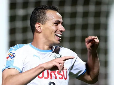 Mercado da bola: gigante do futebol brasileiro encaminha a contratação de Leandro Damião