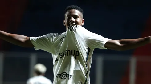 Photo by Natacha Pisarenko - Pool/Getty Images