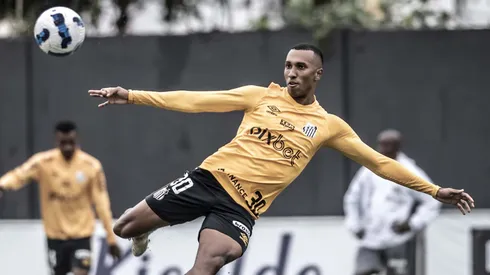 Ivan Storti/SantosFC