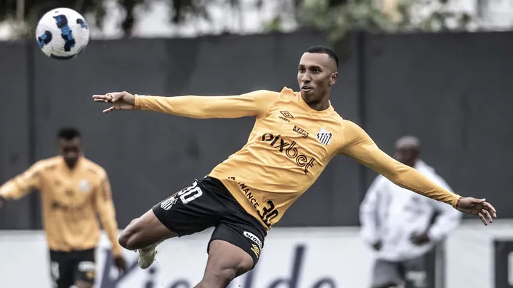 Ivan Storti/SantosFC