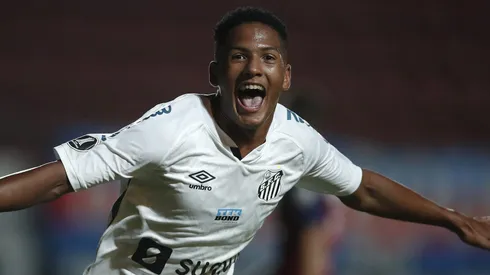 Photo by Natacha Pisarenko - Pool/Getty Images