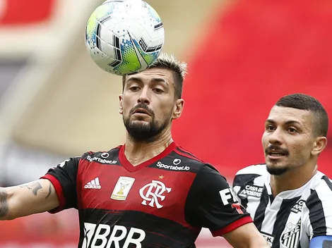 Palpites e Expectativas: O que esperar do Emocionante confronto Santos x Flamengo