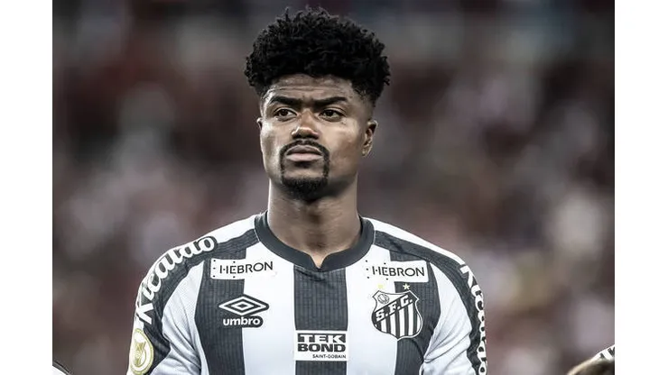 Foto: Ivan Storti/Santos FC