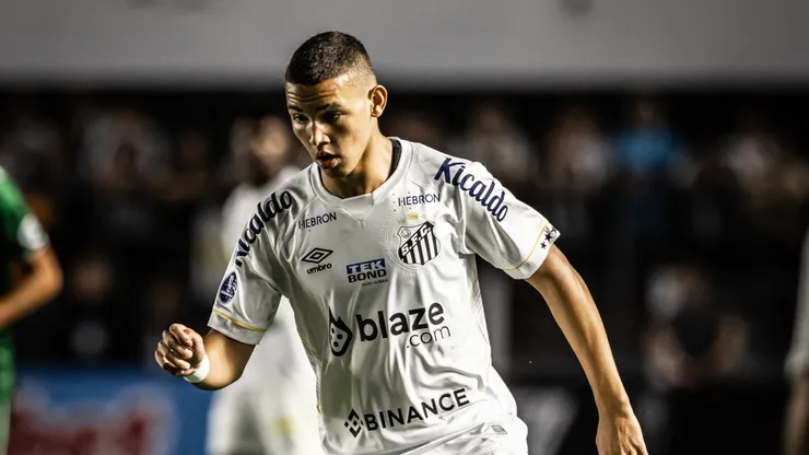 Raul Baretta/Santos FC