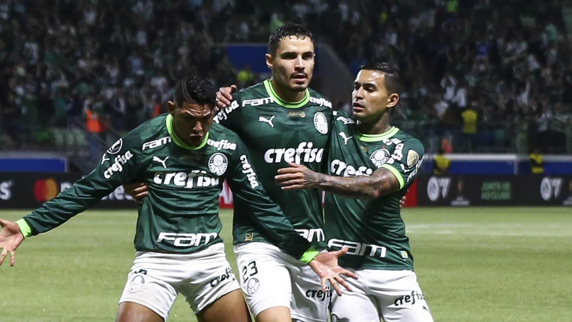 (Photo by Alexandre Schneider/Getty Images)