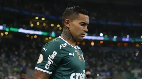 Photo by Ricardo Moreira/Getty