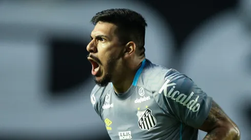 (Photo by Alexandre Schneider/Getty Images,)