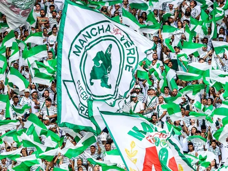 Torcida do Palmeiras elege o seu segundo time no Futebol brasileiro