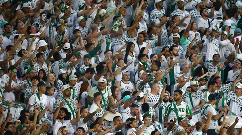 (Photo by Alexandre Schneider/Getty Images)