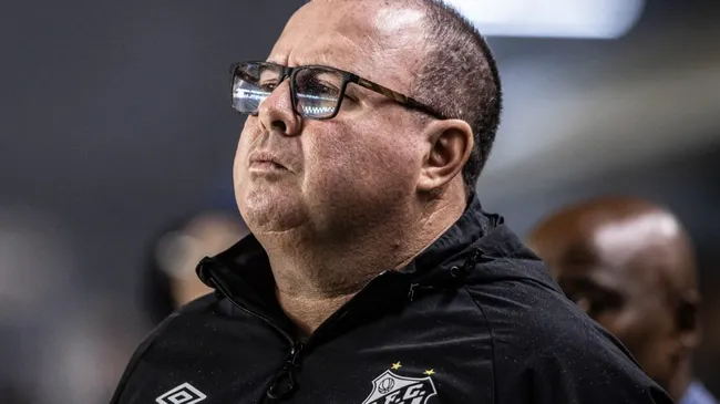Técnico do Santos já abriu o jogo sobre a situação (Foto: Raul Baretta/ Santos FC/ Divulgação)