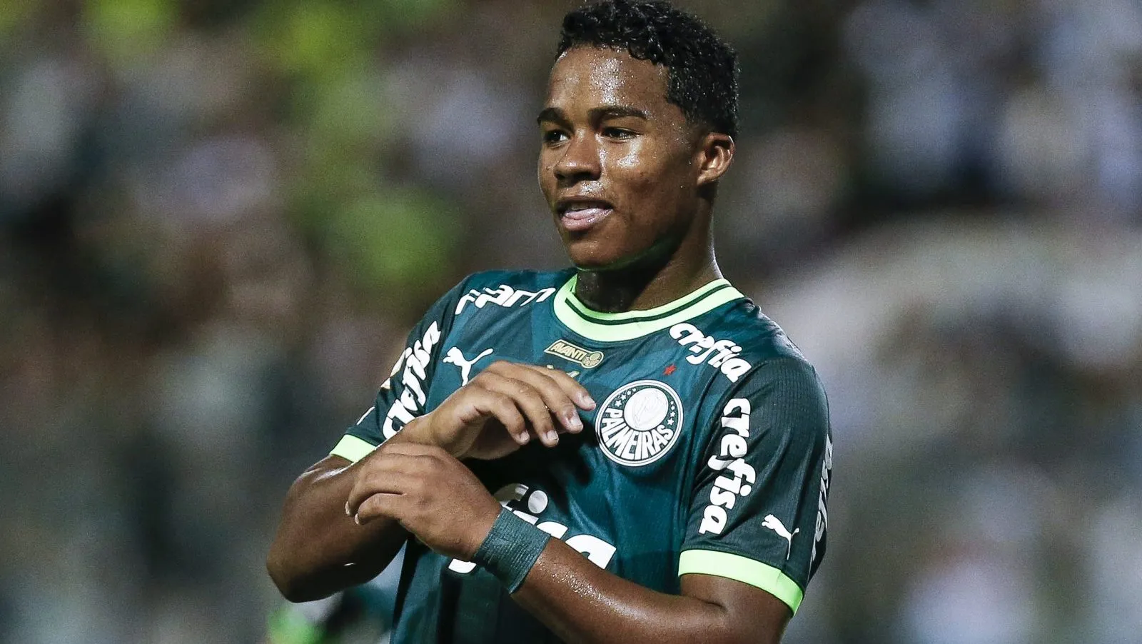 Palmeiras. (Photo by Ricardo Moreira/Getty Images)