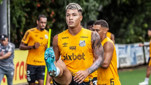 Marcos Leonardo: de saída do Santos (Foto: Bruno Santoni/Flickr Oficial Santos FC/Divulgação)