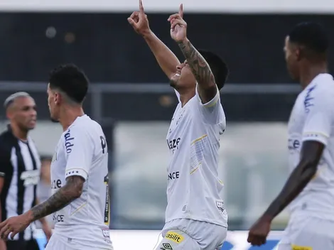 Ex-jogador do Santos se oferece para jogar de graça pelo clube na disputa da Série B