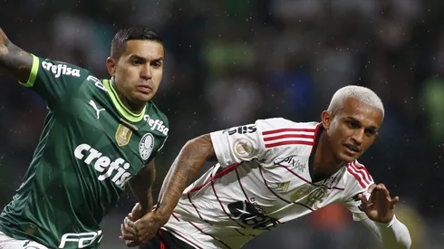 Flamengo vs Palmeiras pelo Brasileirão. (Photo by Miguel Schincariol/Getty Images)