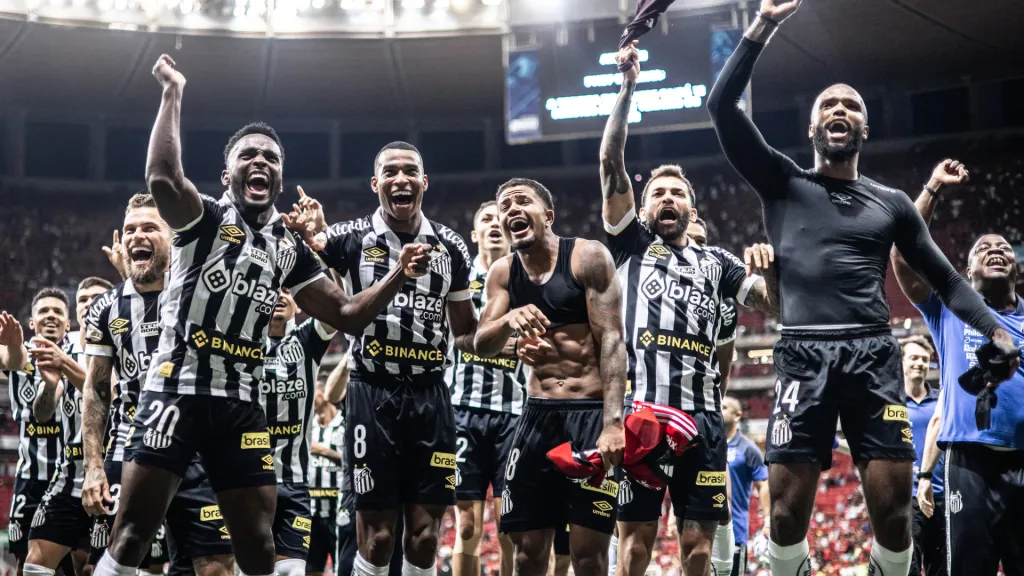 O Peixe venceu o Flamengo de virada (Foto: Raul Baretta/ Santos FC/ Divulgação)