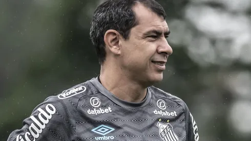Fábio Carille, técnico do Santos. Foto: Ivan Storti/Santos FC