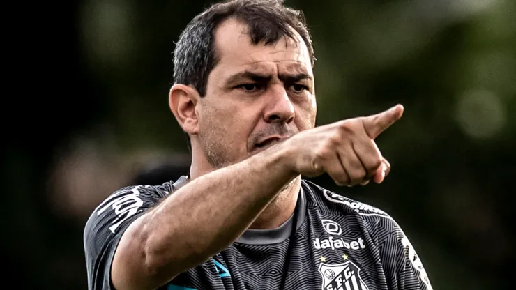 Carille: técnico do Santos (Foto: Ivan Storti/Santos FC/Divulgação)
