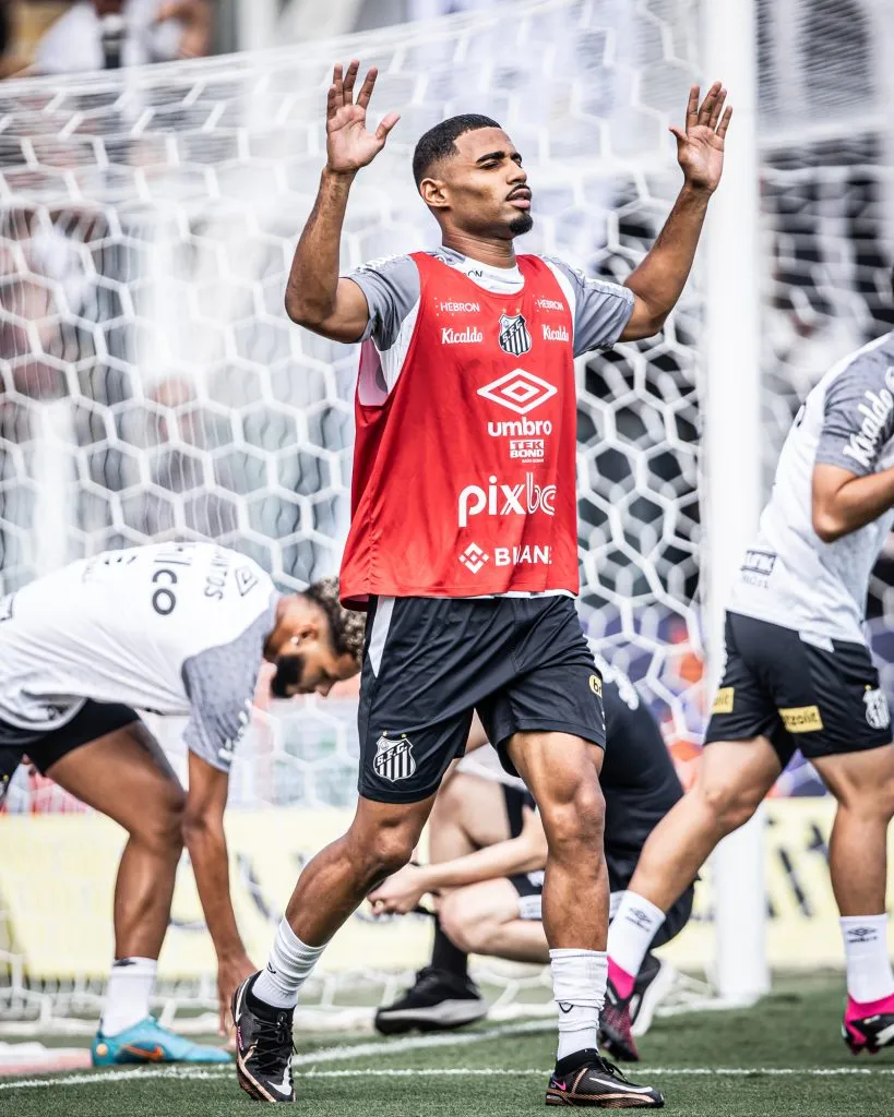 Foto: Raul Baretta /Flickr Oficial SANTOS FC