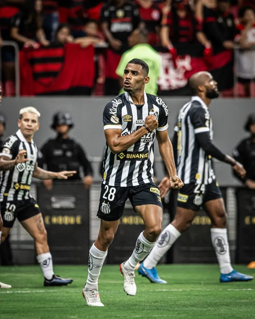 Foto: Raul Baretta /Flickr Oficial SANTOS FC