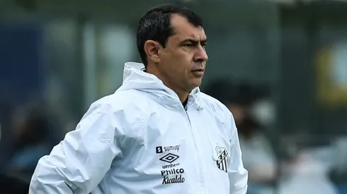 Fábio Carille. (Photo by Alexandre Schneider/Getty Images,)