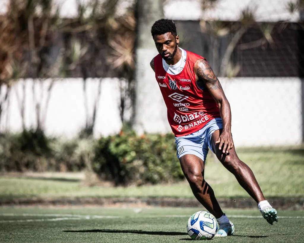 O jogador, de 35 anos, marcou um gol em 11 jogos pelo Peixe (Foto: Raul Baretta/ Santos FC/ Divulgação)