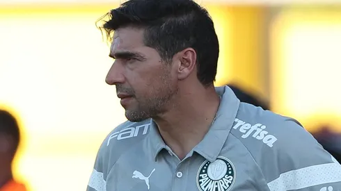FOTO: cesar greco palmeiras. abel ferreira