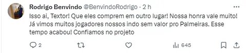 Torcedor do Botafogo concorda com John Textor
