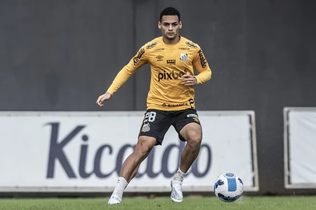 Zagueiro foi negociado pelo Santos por quase R$ 40 milhões (Foto: Ivan Storti/Santos FC/Divulgação)