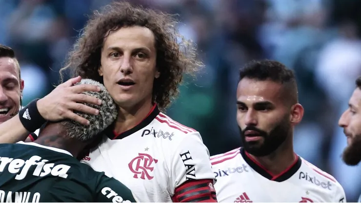 Grêmio quer ídolo do Flamengo. Foto: Ettore Chiereguini/AGIF