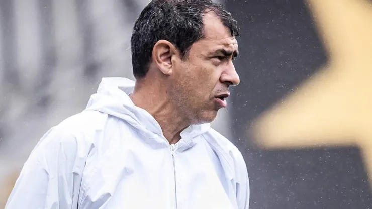 fábio carille, técnico do santos. foto: raul baretta/santos fc