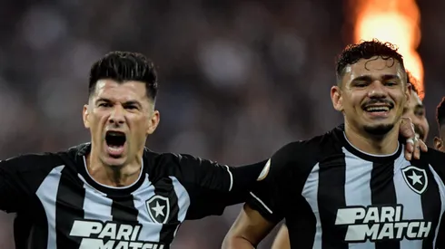 Bahia consegue o 'sim' e avança para contratar grande nome do Botafogo. Foto: Thiago Ribeiro/AGIF