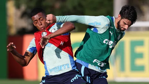 Palmeiras definiu as situações de Flaco e Vanderlan (Foto: Cesar Greco/Palmeiras/Divulgação)