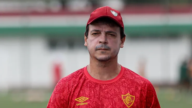 Diniz: técnico não deve mais utilizar dupla no Fluminense (Foto: Lucas Merçon/Fluminense/Divulgação)