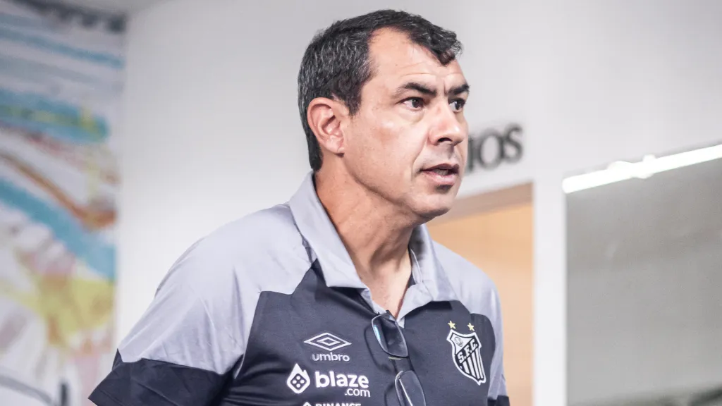 Fabio Carille Santos técnico