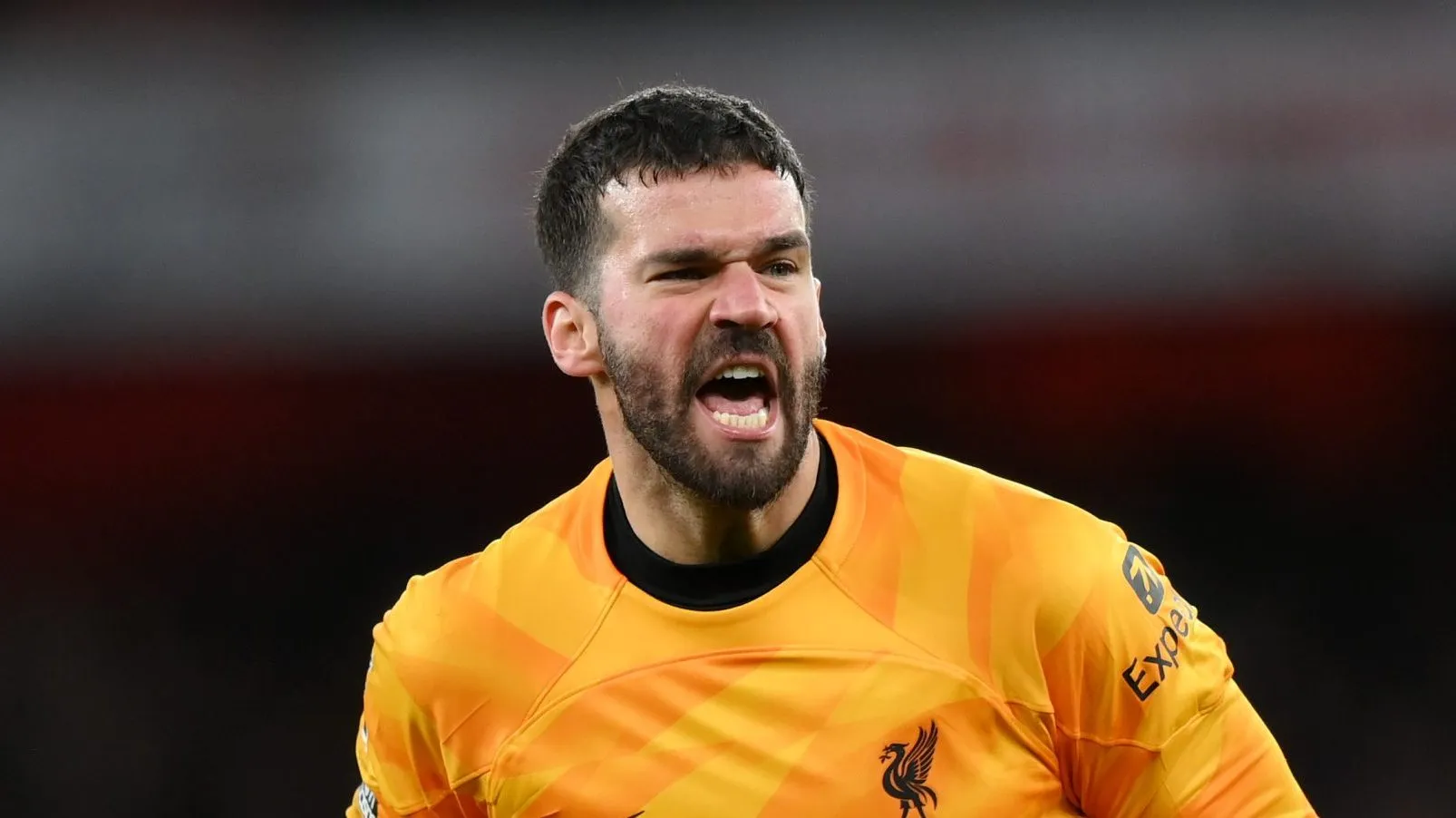 Alisson Becker of Liverpool  (Photo by Justin Setterfield/Getty Images)