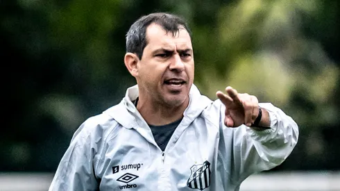 Carille pediu reforços no Peixe (Foto: Ivan Storti/Santos FC/Divulgação)