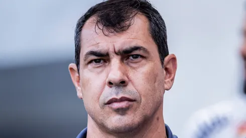SP - SANTOS - 18/02/2024 - PAULISTA 2024, SANTOS X NOVORIZONTINO - Fabio Carille tecnico do Santos durante partida contra o Novorizontino no estadio Vila Belmiro pelo campeonato Paulista 2024. Foto: Abner Dourado/AGIF