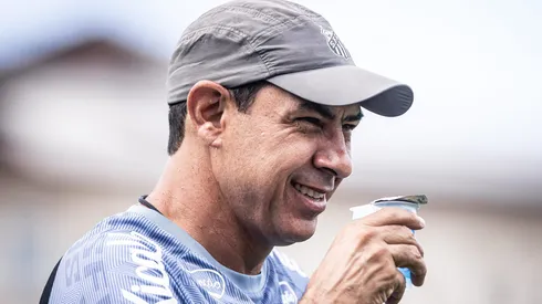 Fábio Carille. foto: raul baretta/santos fc