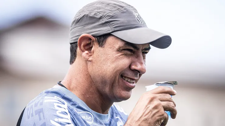 Fábio Carille. foto: raul baretta/santos fc