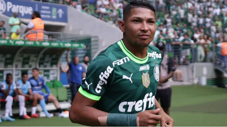 Análise: Os números de Royn na Libertadores mostram que ele merece respeito no Palmeiras. Foto: Ettore Chiereguini/AGIF