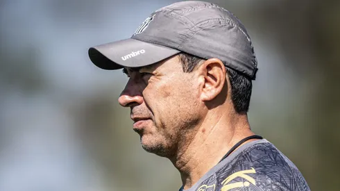 Carille, técnico do Santos. Foto: Raul Baretta/ Santos FC