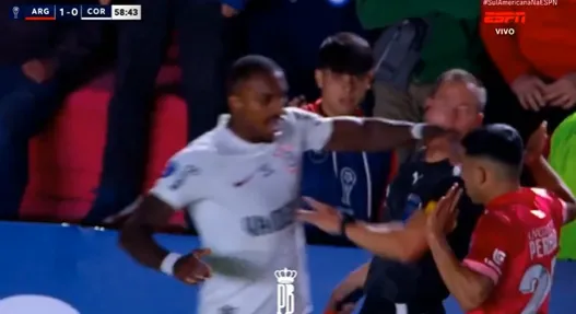 Momento em que o zagueiro Raul Gustavo acerta o bandeira da partida contra o Argentinos Juniors | Foto: Reprodução/espn