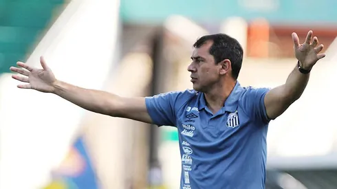 Carille não terá pedido atendido no Santos. Foto: Pedro Ernesto Guerra Azevedo/Santos