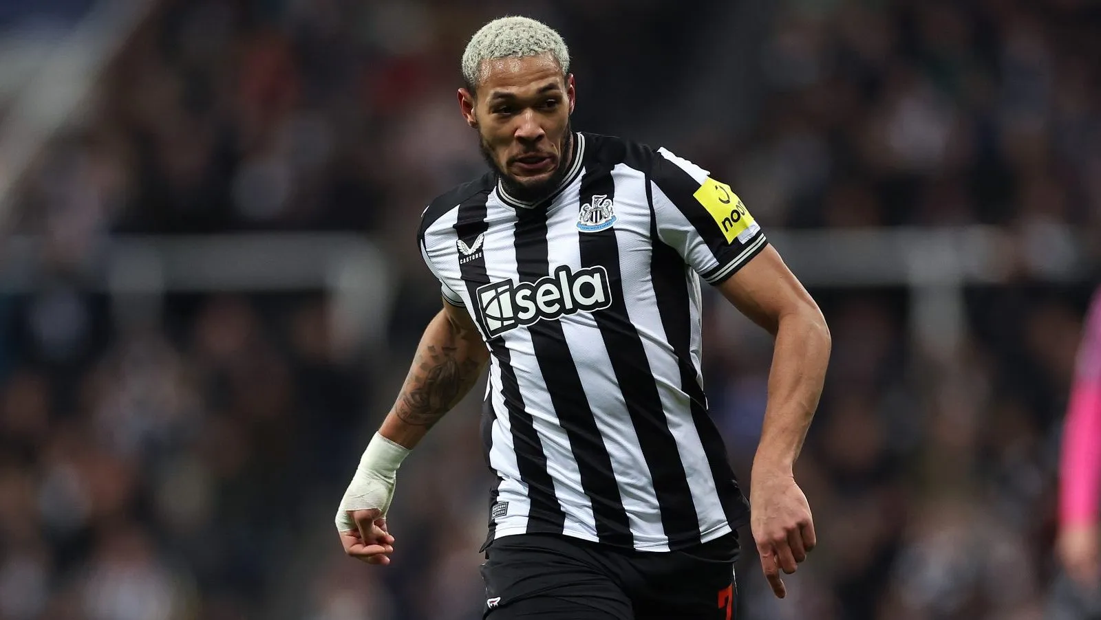 Joelinton pelo Newcastle United . (Foto: Michael Steele/Getty Images)