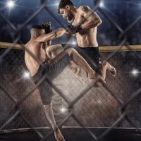 Apostas UFC: melhores dicas para apostar nas lutas