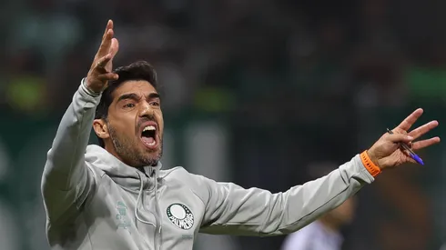 Abel reclamou de defeito do Verdão (Foto: Cesar Greco/Palmeiras/Divulgação)