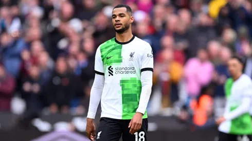 Cody Gakpo, atleta do Liverpool. (Photo by Justin Setterfield/Getty Images)