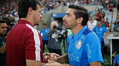 Fluminense v Palmeiras – Brasileirao 2022