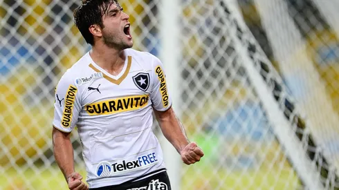 Botafogo v Internacional - Brasileirao Series A 2014