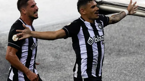 Botafogo v Palmeiras – Brasileirao 2022